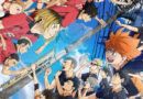 Haikyu!! Das Play-off der Müllhalde